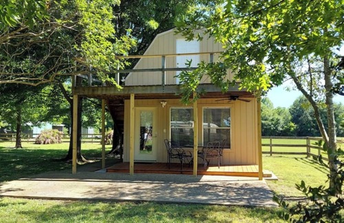 Mineola Cottage | Cozy with Local Airport View