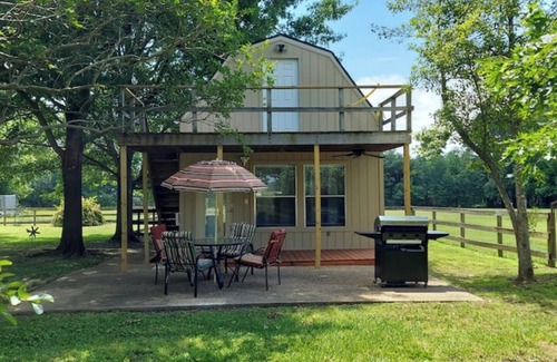 Mineola Cottage | Cozy with Local Airport View