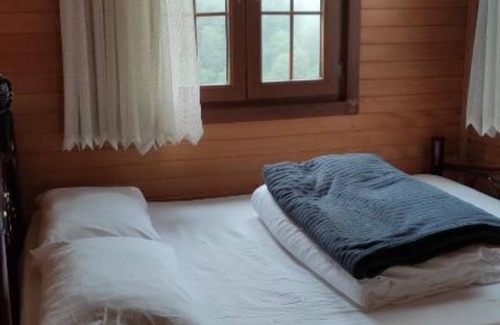 Ayder Yaylasi Apartment | Cozy Wooden Room with WiFi & Breakfast in Ayder - Fora Pensionn