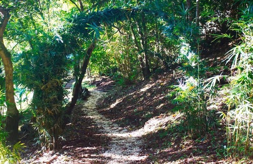 San Juanillo Apartment | Cozy Yogic Jungle Casita Close to Ocean