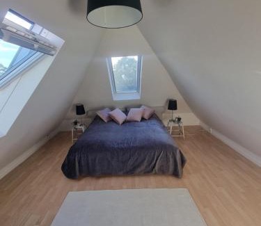 Taastrup House | CPH V home
