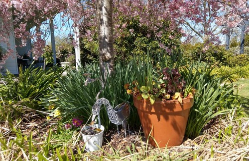 Barrington Bed & Breakfast | Cradle at Casa Blanca Country Retreat