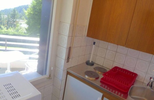 Randogne Apartment | Cransalpin Apt. 3/Secteur 1 by Interhome