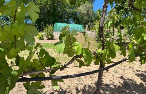 Castelo de Paiva House | CRASTO PAYVA DOURO NATURE