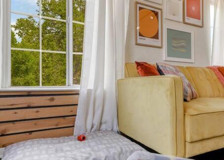 Downtown Apartment | Creative, Classic, Downtown Gem!