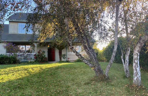 Callender House | Creative & Colorful home with pizza oven. 2 miles to beach! SLO nearby too.