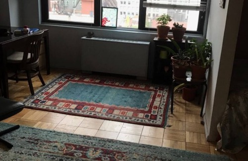 Kips Bay Apartment | Creature comfort, city living