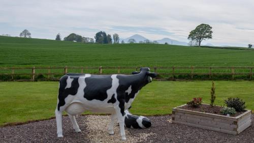Loughinisland Bed & Breakfast | Creeghduff Lodge