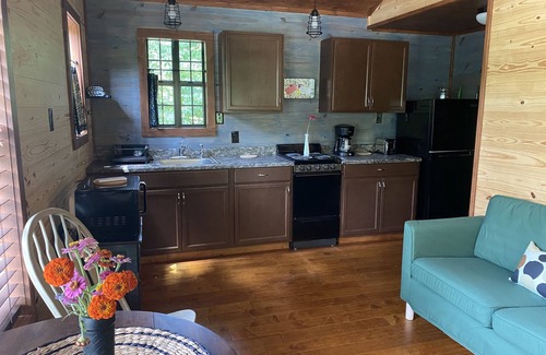Pettigrew Cabin | Creek Cottage, in the Ozarks!