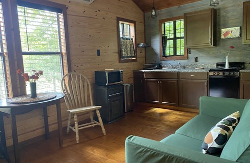 Pettigrew Cabin | Creek Cottage, in the Ozarks!