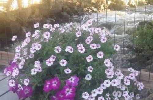 Cedaredge Bed & Breakfast | Creek Side Bed and Breakfast