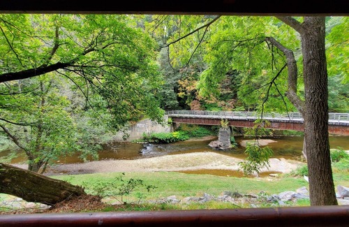 Galax Apartment | Creek Song