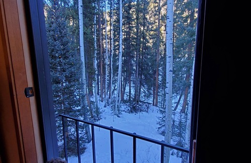 Twin Lakes Cabin | Creekside Cabin on Independence Pass between Twin Lakes and Aspen, Cozy + Nature