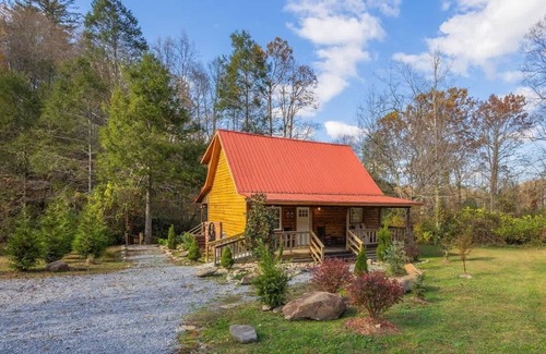 Cosby Cabin | Creekside Cabin Views, Jacuzzi & Firepit
