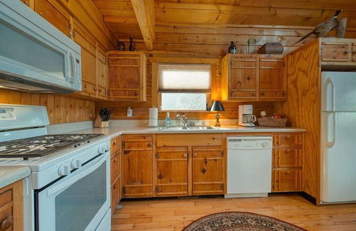 Hiawassee Cabin | Creekside Duck Cabin - Creek Front- Fire Pit