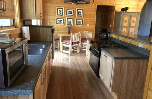 Pitkin County Cabin | Creekside Log Cabin with Soaring Great Room at Dreamy Art & Nature Retreat