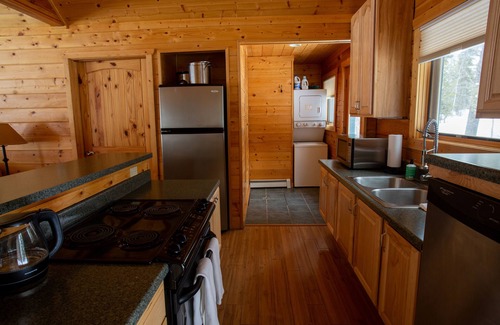 Pitkin County Cabin | Creekside Log Cabin with Soaring Great Room at Dreamy Art & Nature Retreat