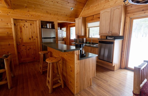 Pitkin County Cabin | Creekside Log Cabin with Soaring Great Room at Dreamy Art & Nature Retreat