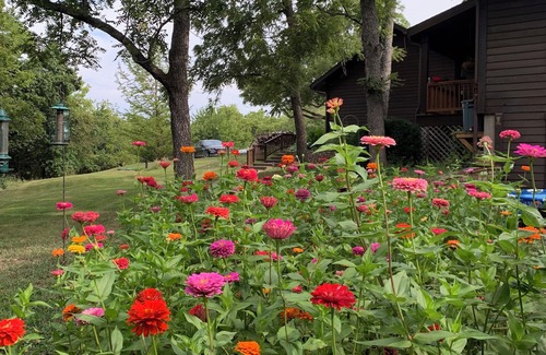 Drexel Cabin | CREEKSIDE ~ Lower Level/Separate Entrance, Peaceful Retreat, Trails & Fire Pit