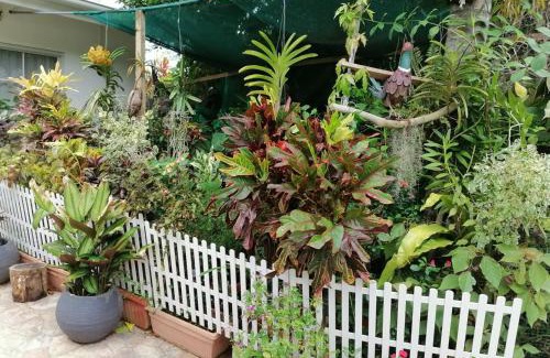 Pointe Larue Apartment | Creole Cottage Homestay