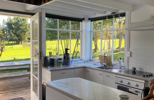Coal Stream Other | Cricklewood Farmstay, Alpaca walk and hot tub