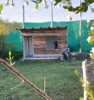 Maipu Apartment | CrisBel