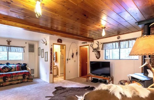 Forest Falls Cabin | Critter Cabin - a mountain of fun and great trails
