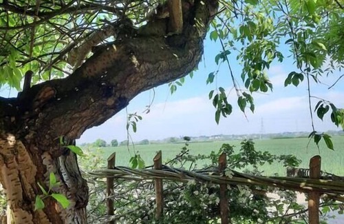 Newark Cottage | Crossing Cottage 3 Bed Cottage with rural views and private garden
