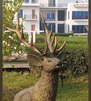 Dhaka Division Hotel | Crown Euro Inn Hotel and Resort