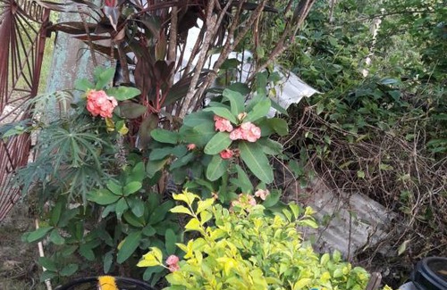 Sandy Bay House | Crystal guest house