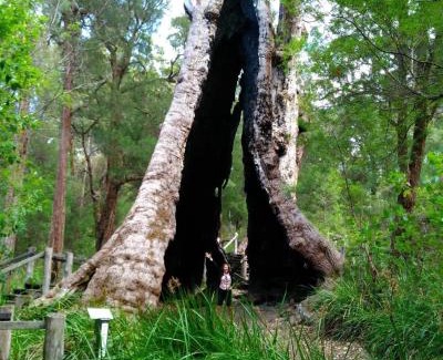 North Walpole House | Crystal Springs Holiday Accommodation
