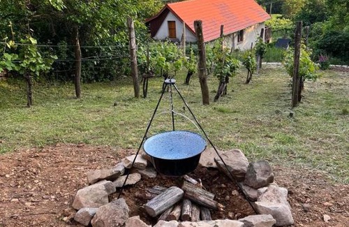 Hegymagas House | Csendár Cottage Balaton