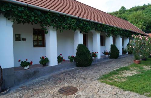 Szomolya Apartment | Cseresznyés Vendégház
