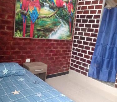 Tingo Maria House | Cuartos El Rincón viajero