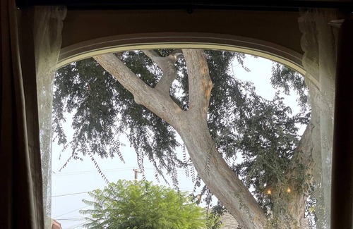 Ladera Heights House | Cubier: Fairy Tale 3BR House in Inglewood (BR-CUL)