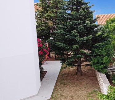 Kolanjski Gajac Apartment | Cukar Apartment Gajac