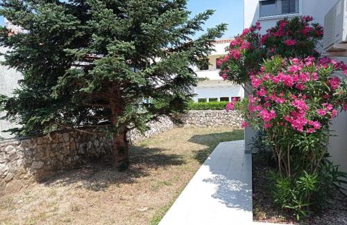 Kolanjski Gajac Apartment | Cukar Apartment Gajac