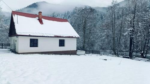 Tarcau House | Culcuș