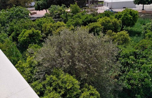 Villaputzu House | Cuoridilatta holiday home enjoy beautiful trekking and beaches in south Sardinia
