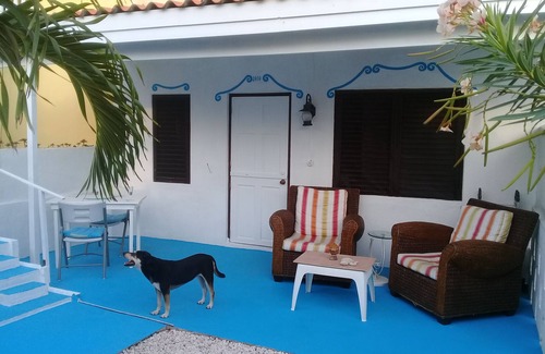 Barber Apartment | Curacao NEW Dive Resort 2025 (with many Dive and Snorkeling Hotspots)