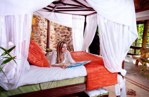 Currumbin Valley House | Currumbin Rainforest Treehouse