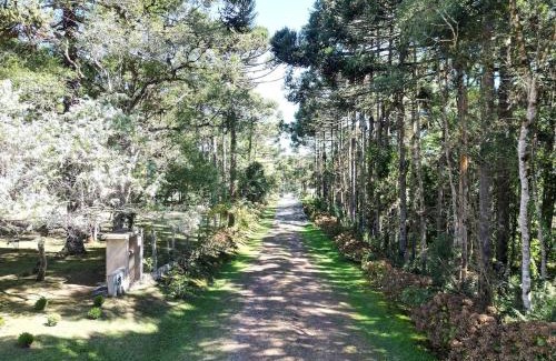 Campo Alegre House | CURTA! |153| Casa dos Pássaros - Campo Alegre