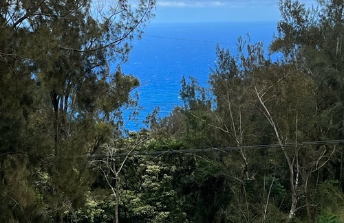 Honokaa Cottage | Custom cottage feels bright & airy yet cozy and private in this country setting.