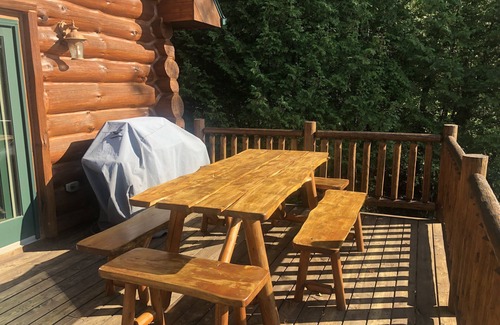 Skidway Lake Cabin | Custom Log Home w/Lakefront in Northern Michigan 3BR/3BA