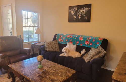 South Arlington Condo | Cute and Cozy Condo. Home away from home.