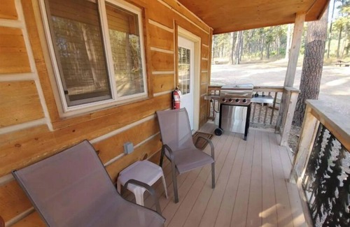 Custer RV Rental | Cute Camping Cabin in Custer - #16