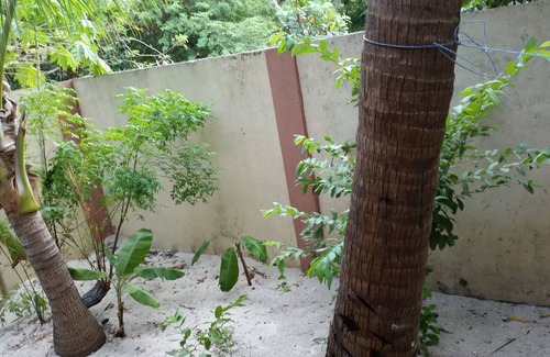 Roxas Cottage | Cute , cool Blue Kubo near the beach