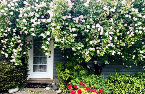 Upper Rockridge Cottage | Cute Cottage in Oakland Hills with TWIN BEDS