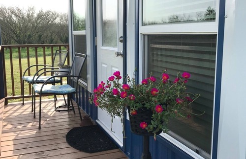 Carmine House | Cute cottage just 5 minutes to Round Top!