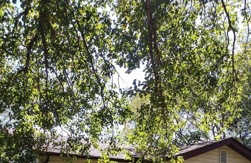 Hickory House | Cute Country Cottages